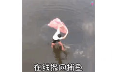 在线撒网捕鱼 GIF 动图