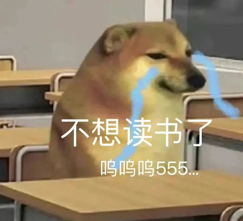 不想读书了呜呜呜555●●