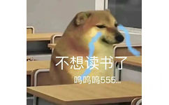 不想读书了呜呜呜555●●