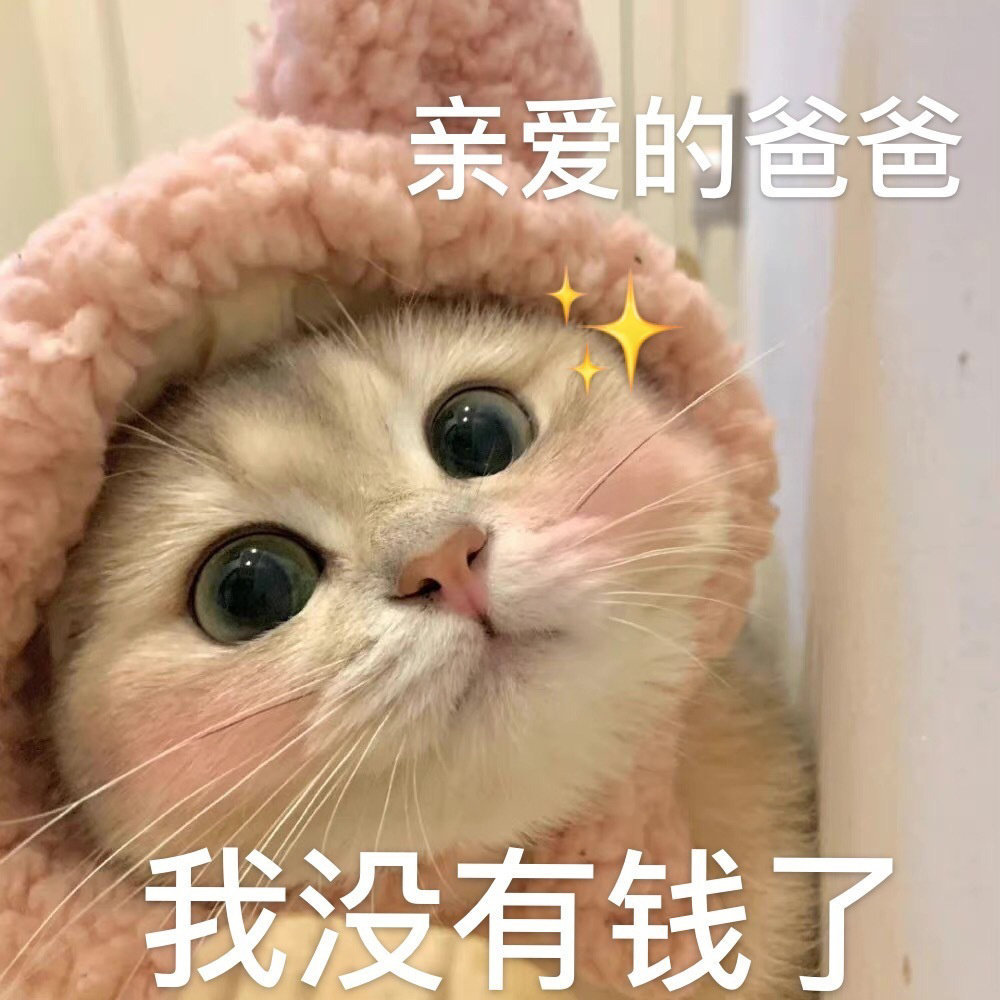 亲爱的爸爸我没有钱了 - 爸宝大嘴猫表情包