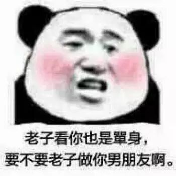 老子看你也是單身,要不要老子做你男朋友啊(熊猫头)