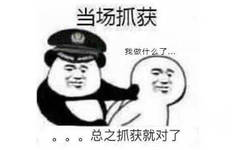 当场抓获，我做什么了...总之抓获就对了