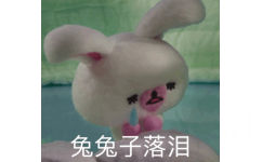 兔兔子落泪 - 《棉花小兔》鳄鱼兔子表情包（cr: 追大鹅）
