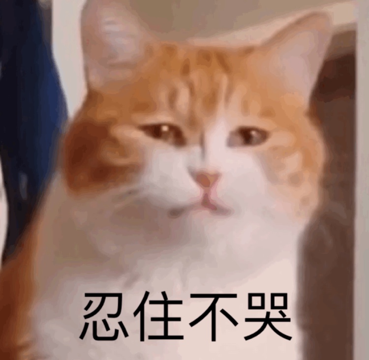 忍住不哭 - 一组橘猫表情包