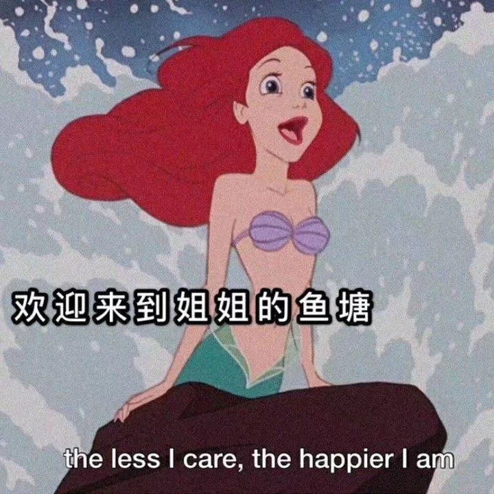 欢迎来到姐姐的鱼塘the less I care ,the happier am - 渣女表情包