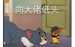 向大佬低头 - 一组猫和老鼠表情包