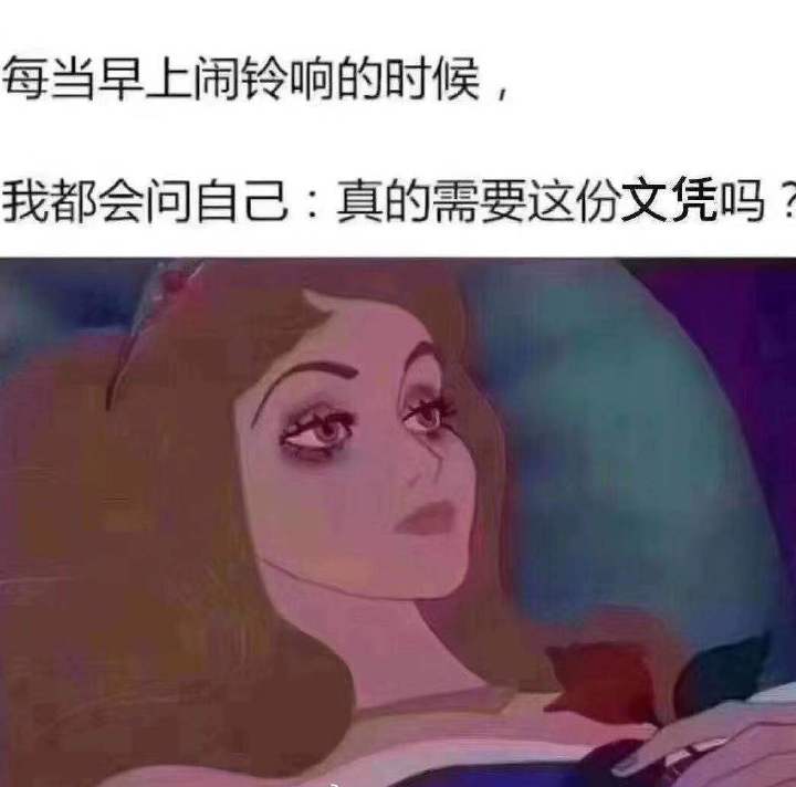 每天早上闹铃响的时候，我都会问自己，真的需要这份文凭吗？