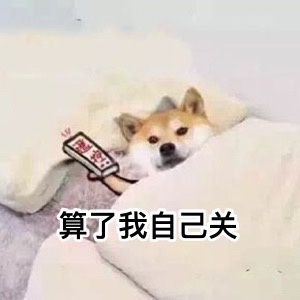 算了我自己关 - 汪星人中最可耐的还是doge