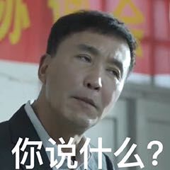 你说什么？ - 达康书记表情包 ​