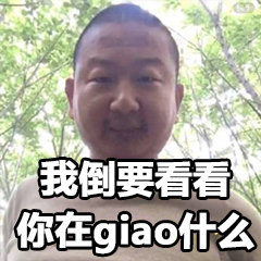 我倒要看看你在giao什么(giao哥)