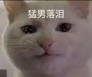 猛男落泪(猫咪表情包)