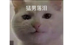 猛男落泪(猫咪表情包)