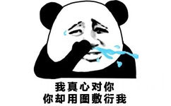 我真心对你你却用图敷衍我(流泪熊猫头)