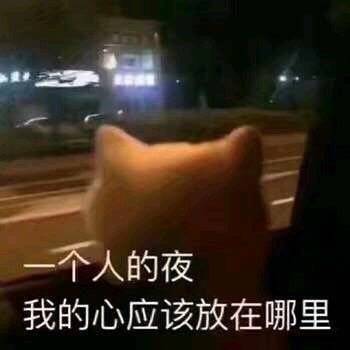 人的夜我的心应该放在哪里