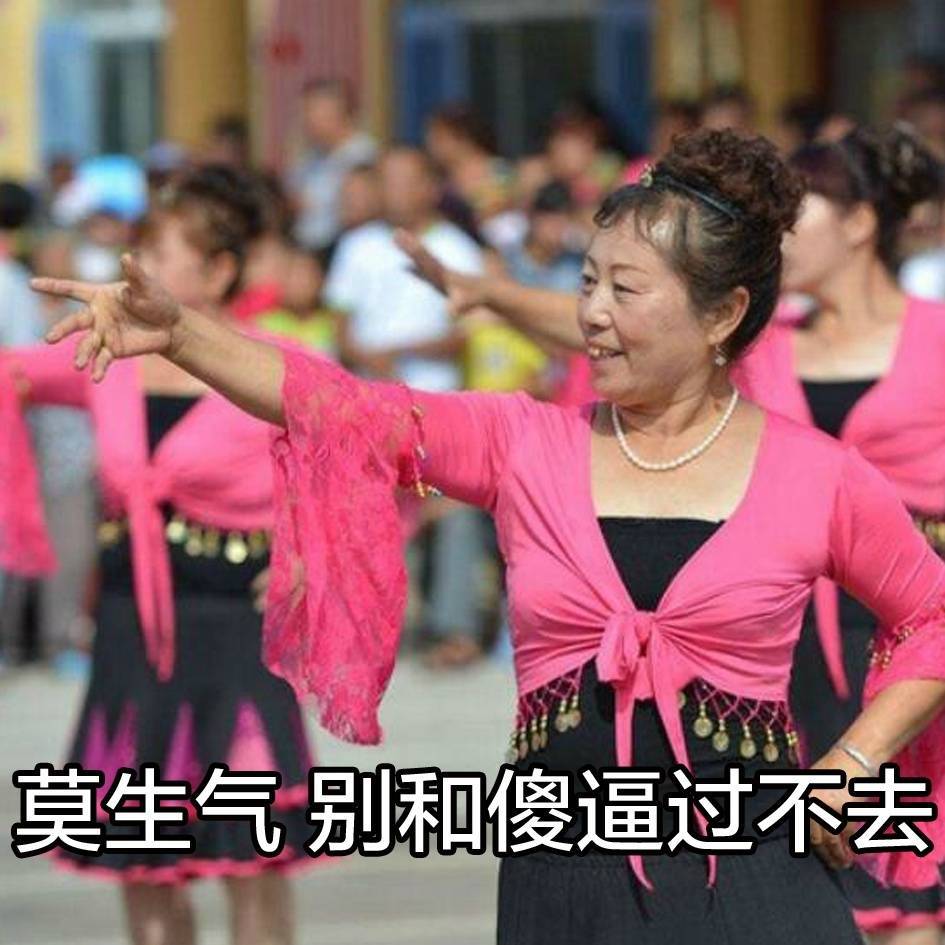 莫生气，别和傻逼过不去 - 大妈跳广场舞系列表情包