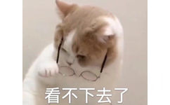 看不下去了(猫咪表情包)