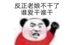 反正老娘不干了谁爱干谁干 - 熊猫头漂亮宝贝不干了表情包 ​