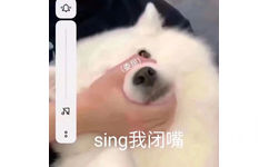 (委屈)sing我闭嘴 - 可爱狗勾表情包 ​