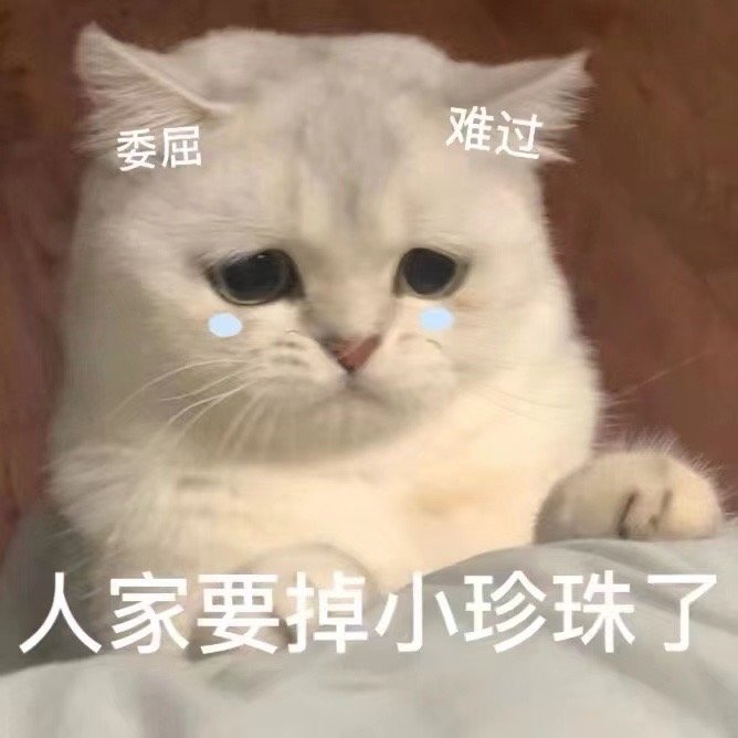 委屈难过人家要掉小珍珠了(猫咪表情包)