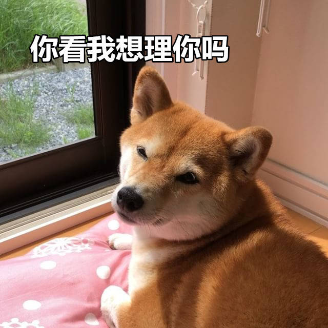 你看我想理你吗 - 一组柴犬表情包