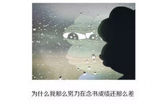 为什么我那么努力在念书成绩还那么差 - 伤心到变种 (sadfrog)