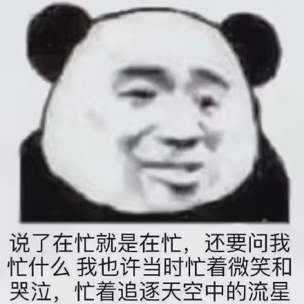 说了在忙就是在忙,还要问我忙什么我也许当时忙着微笑和哭泣,忙着追逐天空中的流星(熊猫头表情包)