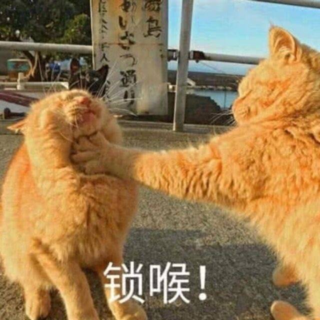 猫咪锁喉