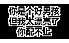 你是个好男孩，但我太漂亮了，你配不上 - 透明纯文字表情包 ​