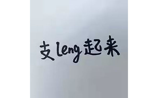 支leny起来