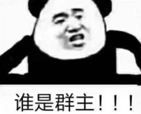 谁是群主!!