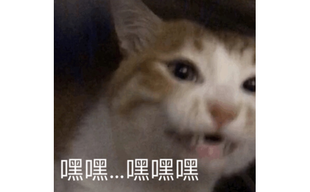 嘿嘿嘿 - 都是猫猫表情包