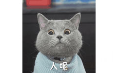 人呢（加菲猫 GIF 动图）