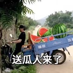 送瓜人来了 吃瓜表情包