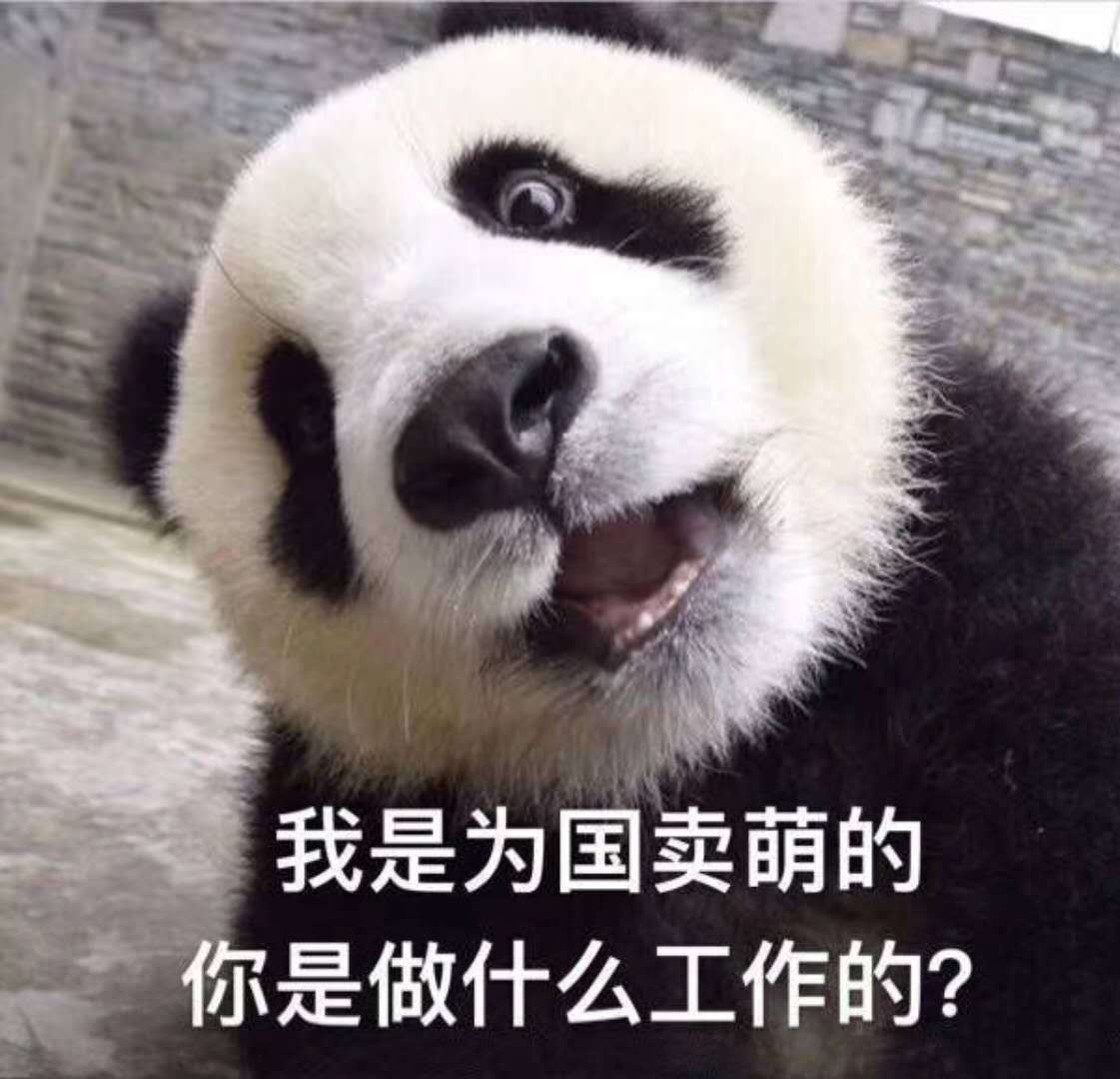 我是为国卖萌的，你是做什么工作的? - 熊猫滚滚的表情包