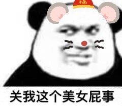 关我这个美女屁事(熊猫头表情包)