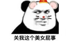 关我这个美女屁事(熊猫头表情包)