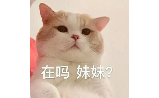 在吗妹妹 - 猫猫表情包系列