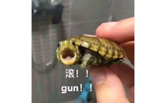 滚！gun（乌龟呐喊）