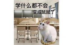 学什么都不会变成鼠鼠了