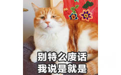 别特么废话我说是就是 - 猫星人表情包第十弹