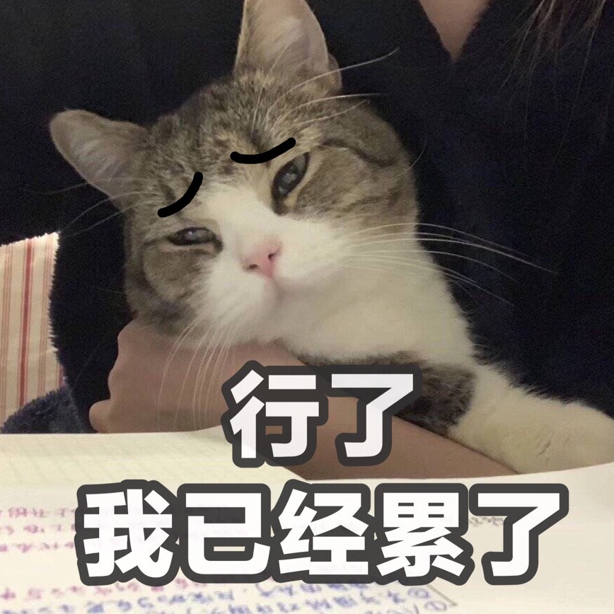 行了 我已经累了（猫咪）