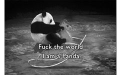 fuck the world I am a panda - 熊猫真的是超级治愈的生物啊