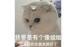 我要是有个像姐姐这么好的女朋友就好了(绿茶猫猫表情包)