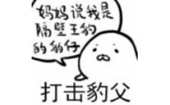 妈妈说我是隔壁王的仔1打击豹父 - 一组超萌的小豹子表情包