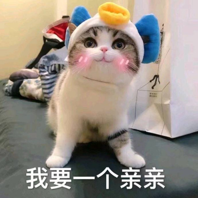 小我要一个亲亲(猫咪)