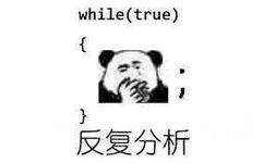 while(true)反复分析(程序员)