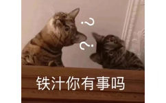 铁汁你有事吗(猫咪表情包)