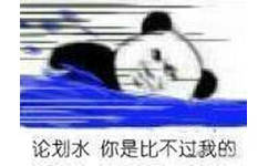 论划水你是比不过我的（熊猫头）