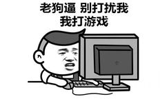 老狗逼：别打扰我 我打游戏 - 你属于哪一类？！