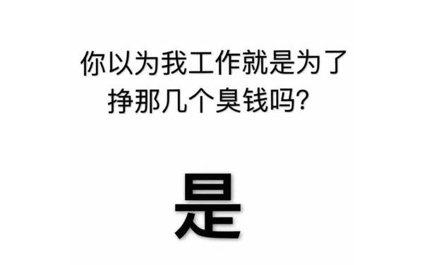 你以为我工作就是为了挣那几个臭钱吗？是的